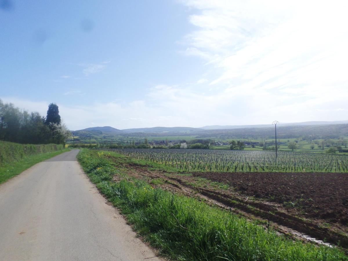 Les Marronniers Bed & Breakfast La Chapelle-sous-Brancion ภายนอก รูปภาพ