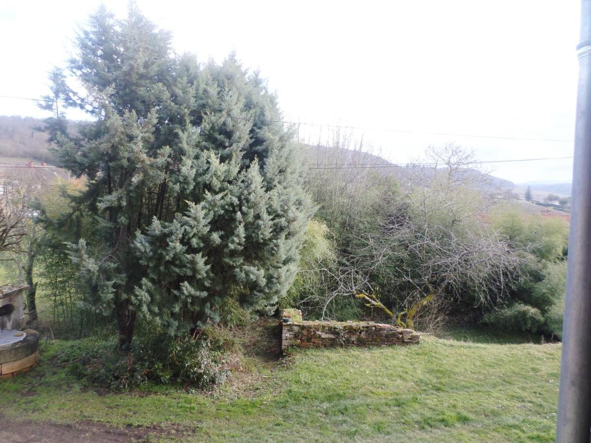 Les Marronniers Bed & Breakfast La Chapelle-sous-Brancion ภายนอก รูปภาพ